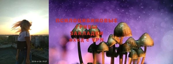 индика Балахна