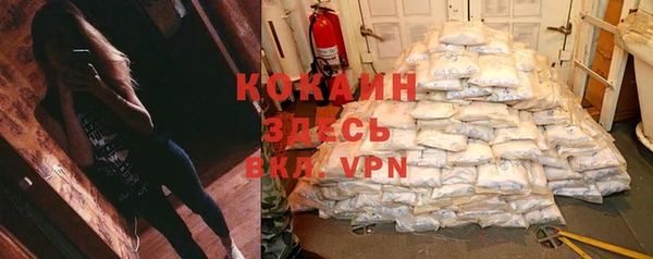 индика Балахна