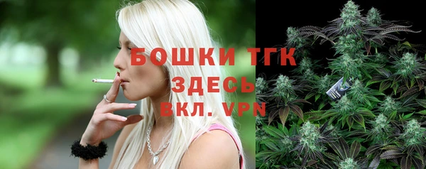 сатива Баксан